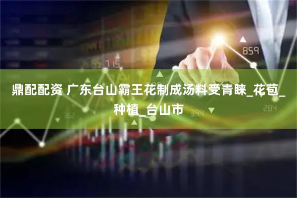 鼎配配资 广东台山霸王花制成汤料受青睐_花苞_种植_台山市